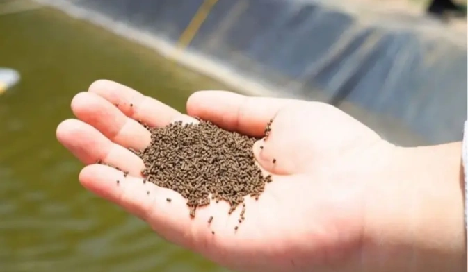 shrimp feed pellets