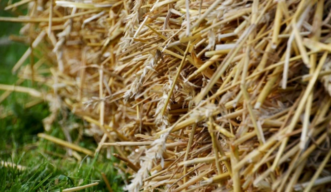 straw raw materials