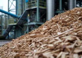 Wood Processing Industry